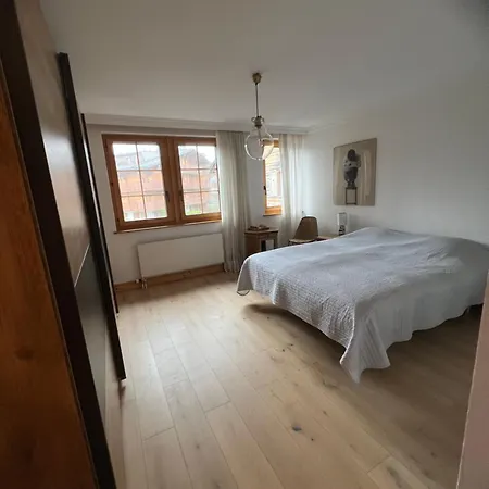 Apartament Swiss Alpes